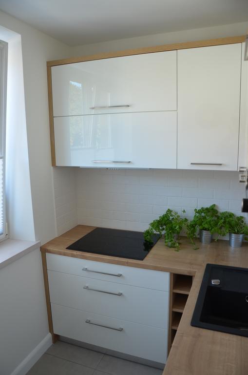 Apartament Na Starowce Grobla I グダニスク 部屋 写真